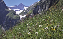 정월 대보름 나물 만드는 법