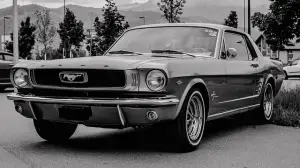 자동차검사기간 조회