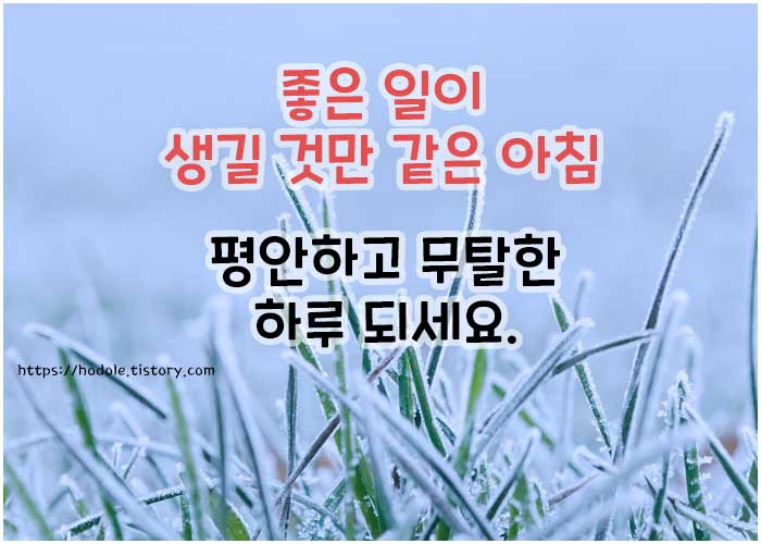 일월아침인사image