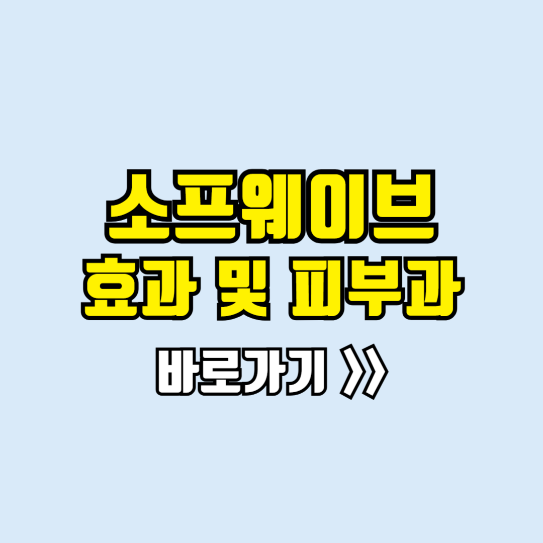 소프웨이브