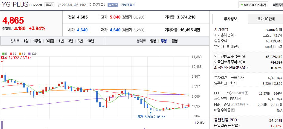 YG PLUS 차트