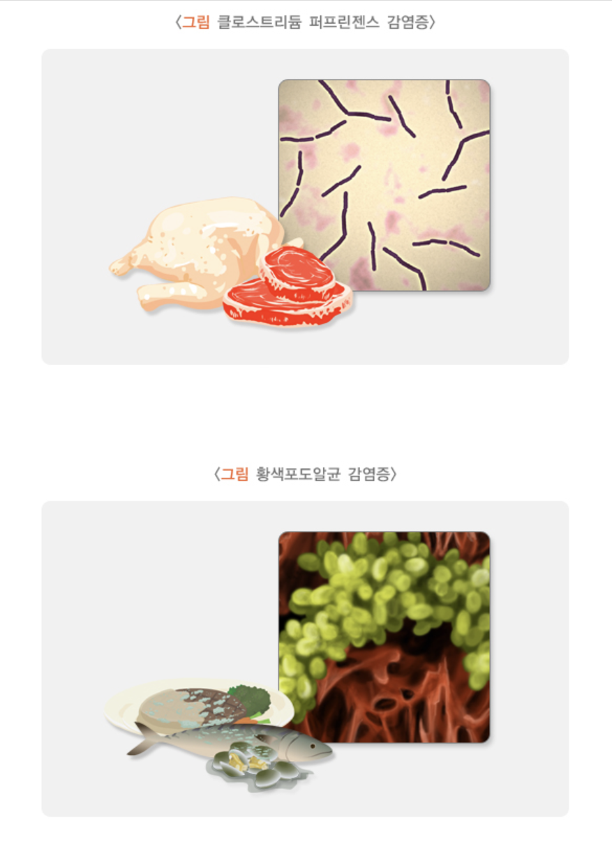 이외의 세균에 의한 감염증