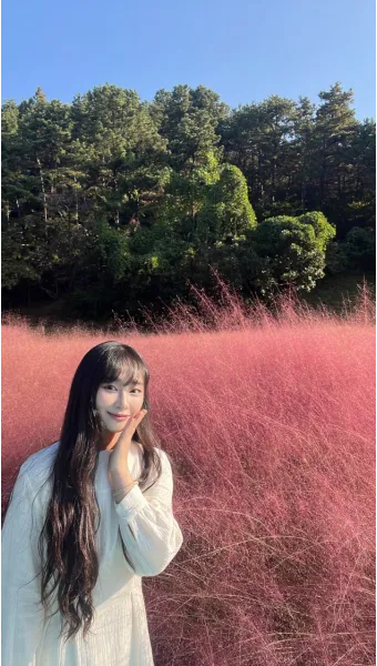 평택 바람새마을 핑크뮬리 가을 여행 인생샷 명소 추천으로 안내_14