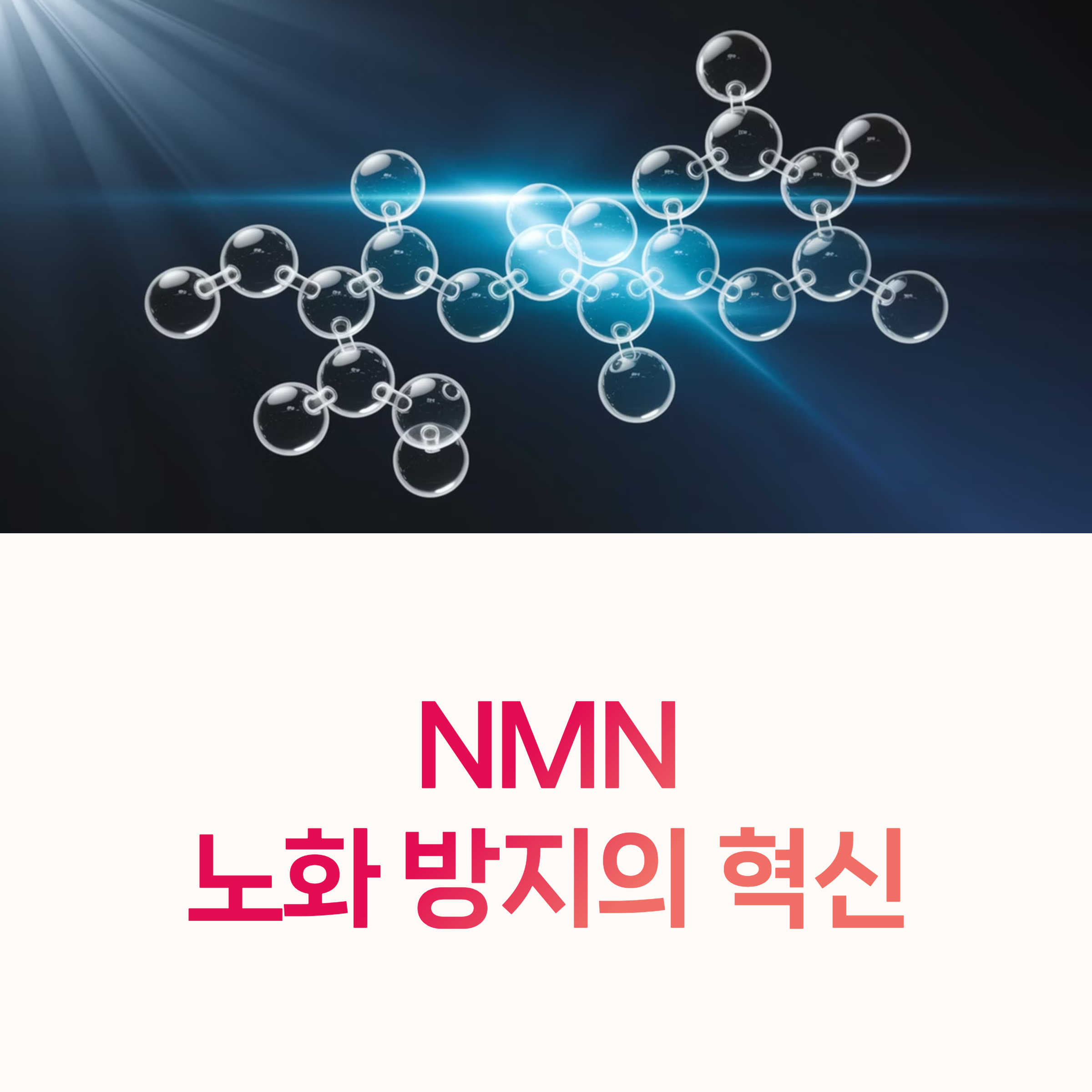 NMN, 항산화,