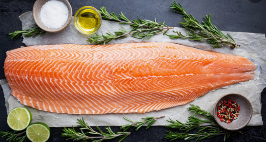 연어의 과학적 효능 사진