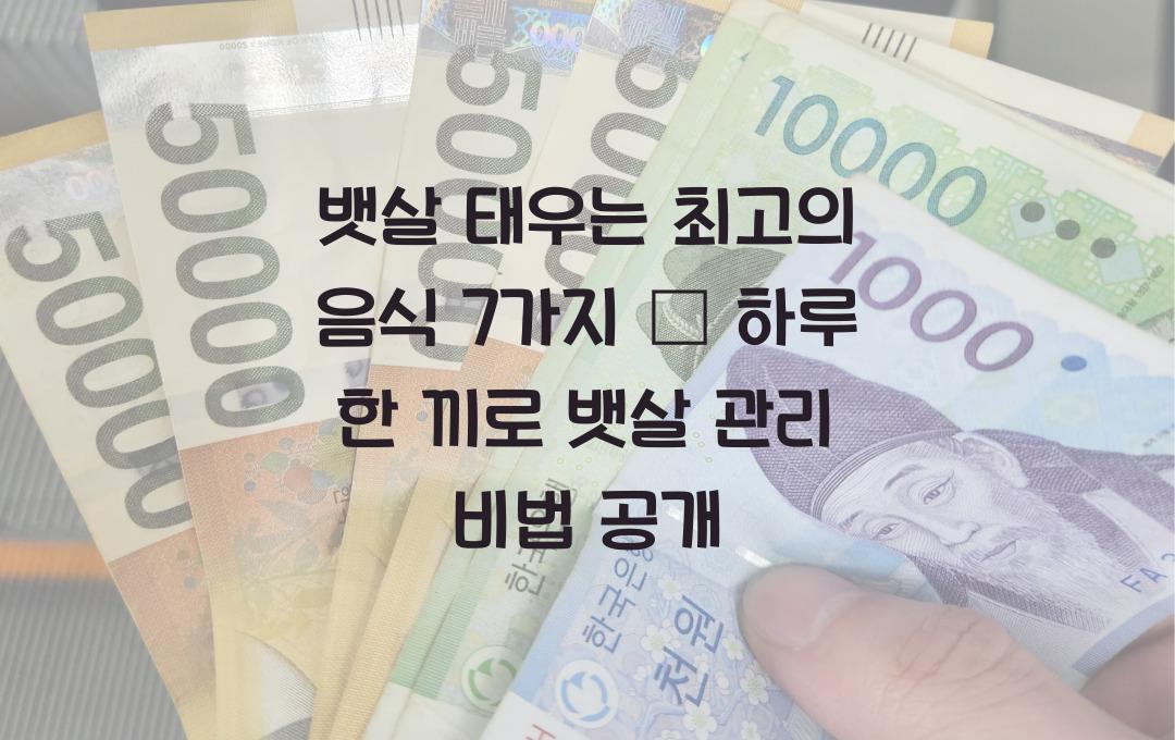 뱃살 태우는 최고의 음식 7가지 – 하루 한 끼로도 효과 UP!