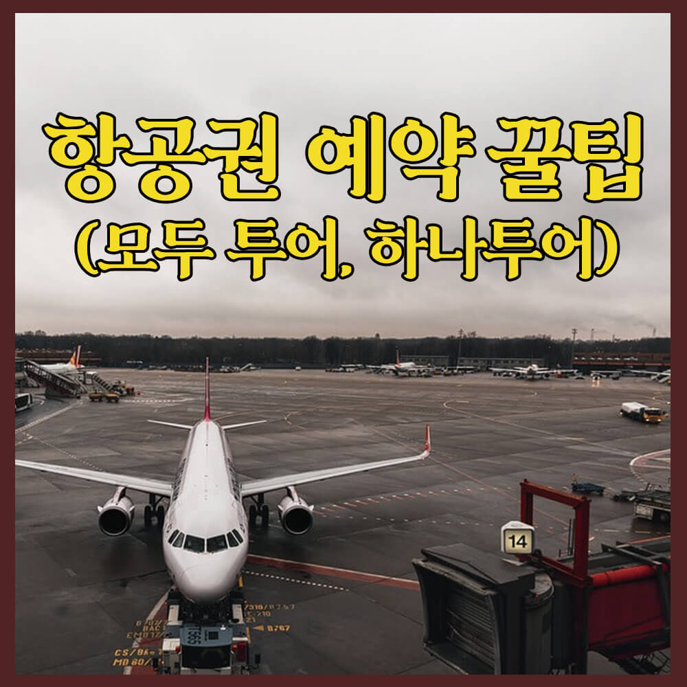 항공권예약 (모두투어, 하나투어), 공동구매항공권, 땡처리항공권