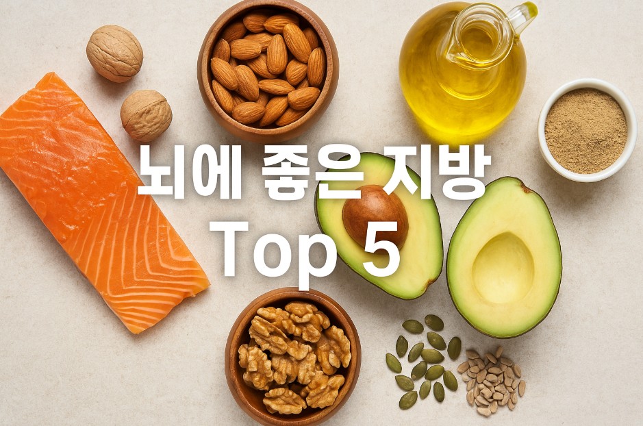 뇌를 연상시키는 형태로 배열된 아보카도, 호두, 연어, 올리브 오일, 코코넛 오일이 따뜻한 목재 배경 위에 놓여 있으며, 중앙에는 "뇌에 좋은 지방 Top 5"라는 텍스트가 크고 선명하게 배치되어 있다. 밝은 자연광이 식재료의 신선함을 강조하며, 각 식품은 뇌 건강에 이로운 지방의 상징으로 표현되어 있다. 이미지 전체는 균형 잡힌 식단과 뇌 건강의 관계를 시각적으로 나타낸다.
