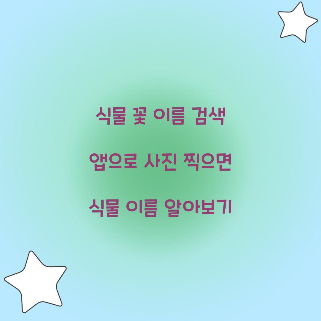 식물 꽃 이름 검색 앱