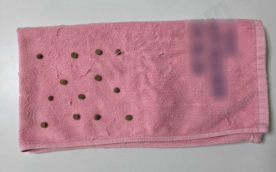 수건으로 강아지 노즈워크 만들기