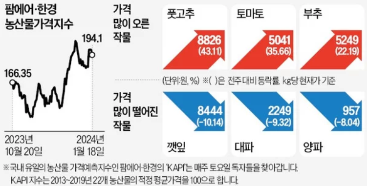 토마토-대란