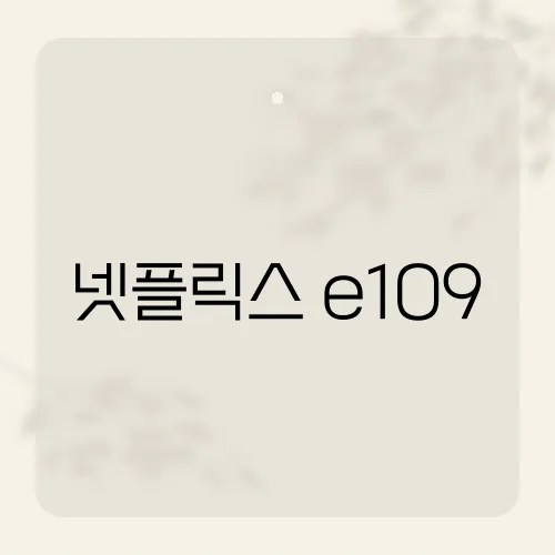 넷플릭스 e109, 공식 해결법은?