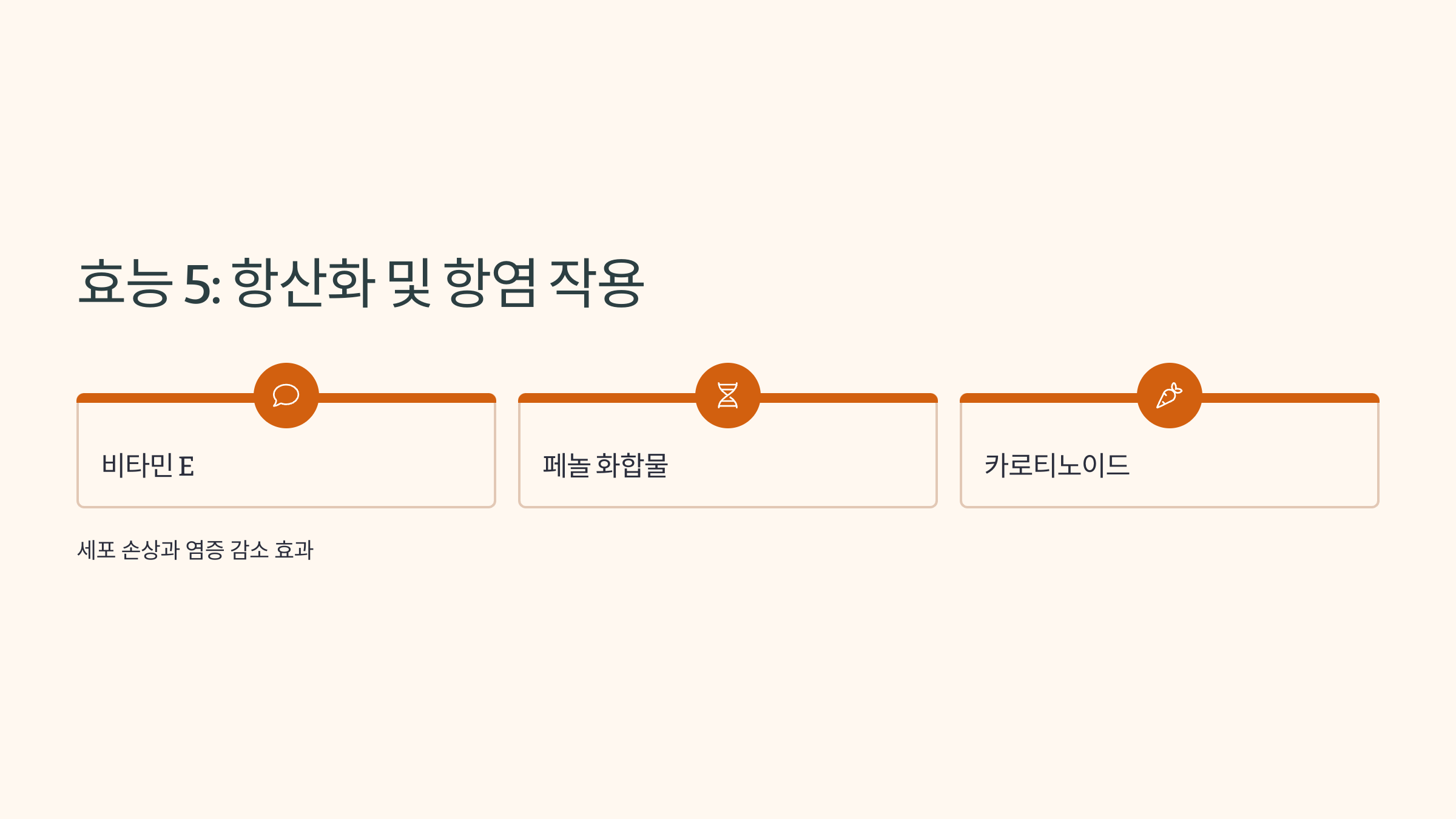 호박씨 사진입니다.