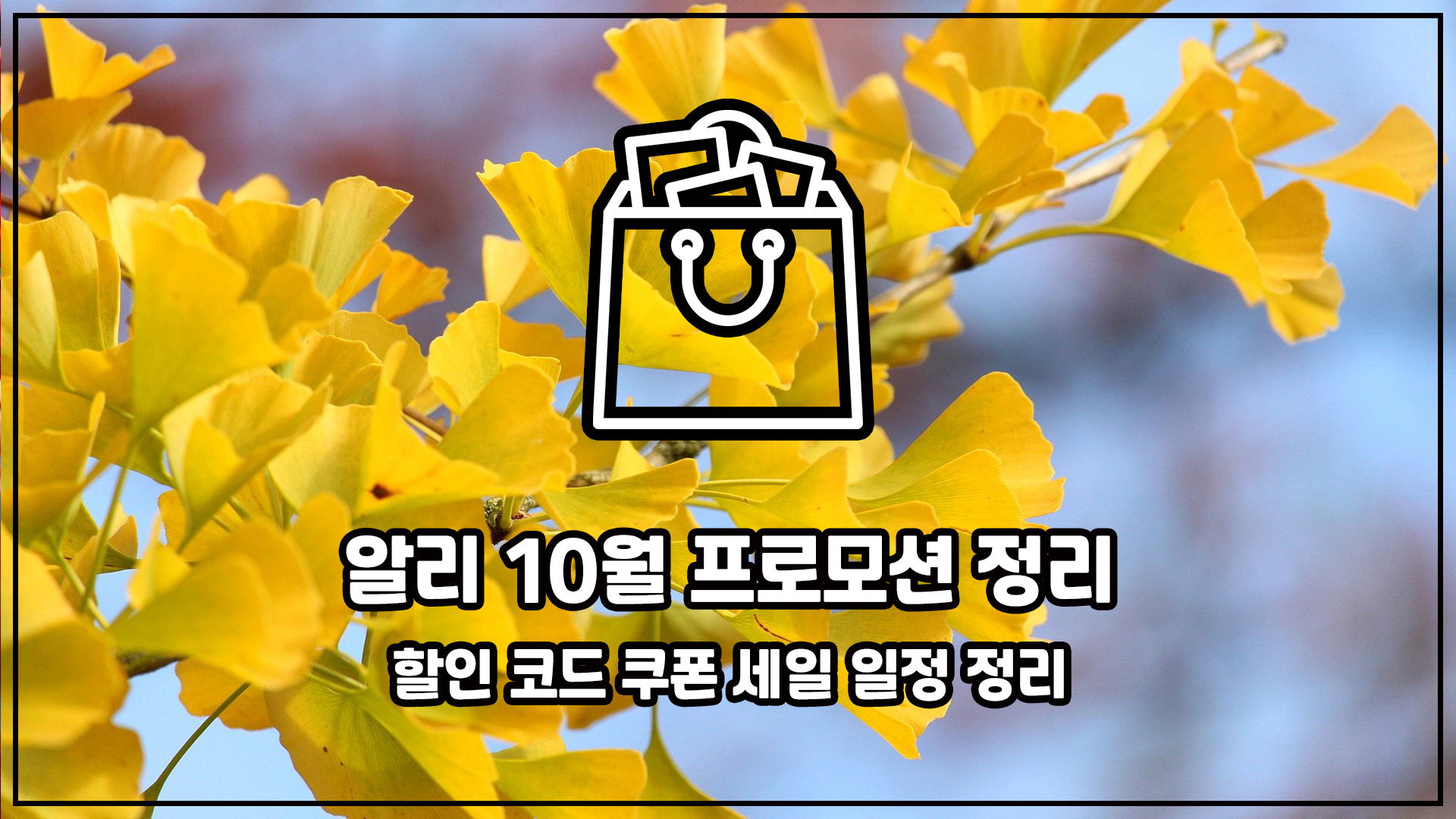알리 10월 프로모션 정리