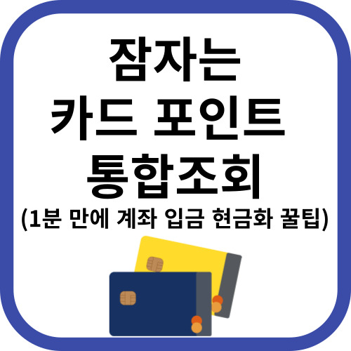 잠자는 카드 포인트 통합 조회