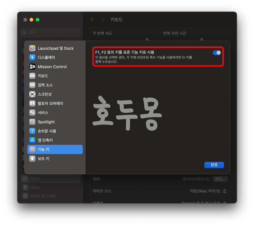 F1&amp;#44; F2등의 키를 표준 기능 키로 사용 활성