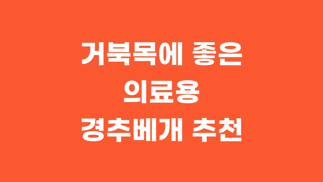 거북목에 좋은 의료용 경추베개 추천