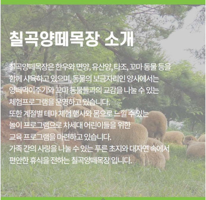 칠곡양떼목장 소개