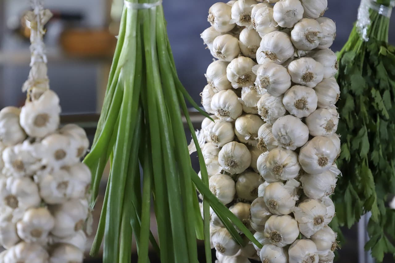 마늘의 맛, 영양성분, 그리고 효능