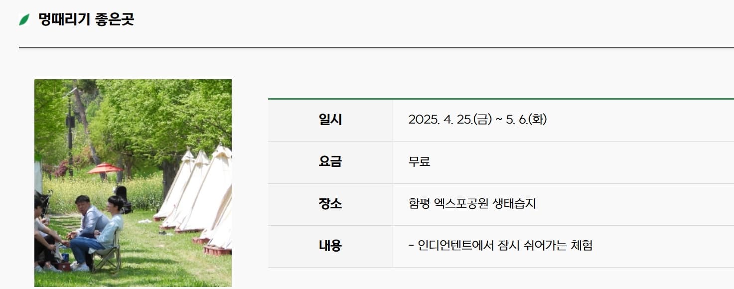 [4월 축제]2025 함평나비대축제｜일정, 기간, 입장권 예매 할인, 입장권 예약 이벤트, 공연, 체험프로그램 총정리