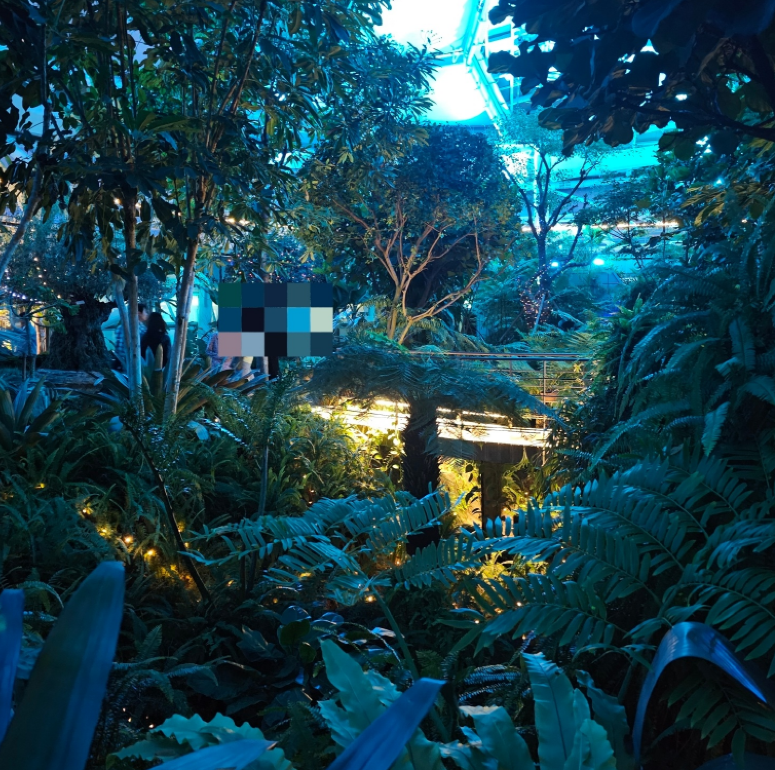 수피아 야간개장