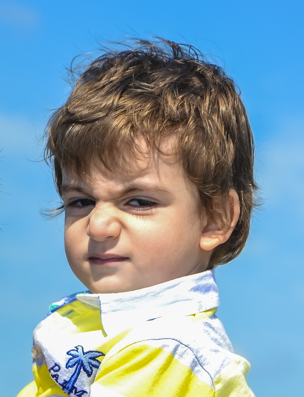 管見 관견 고사성어 위모 공손룡