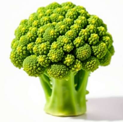 방광에-좋은-음식-나쁜-음식