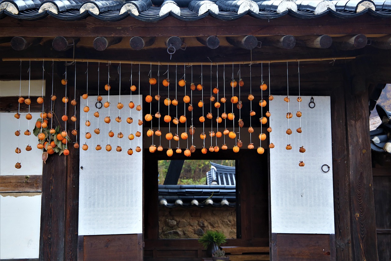 상주 곶감축제&amp;#44; 상주 곶감공원 - 경북 상주 가볼만한곳