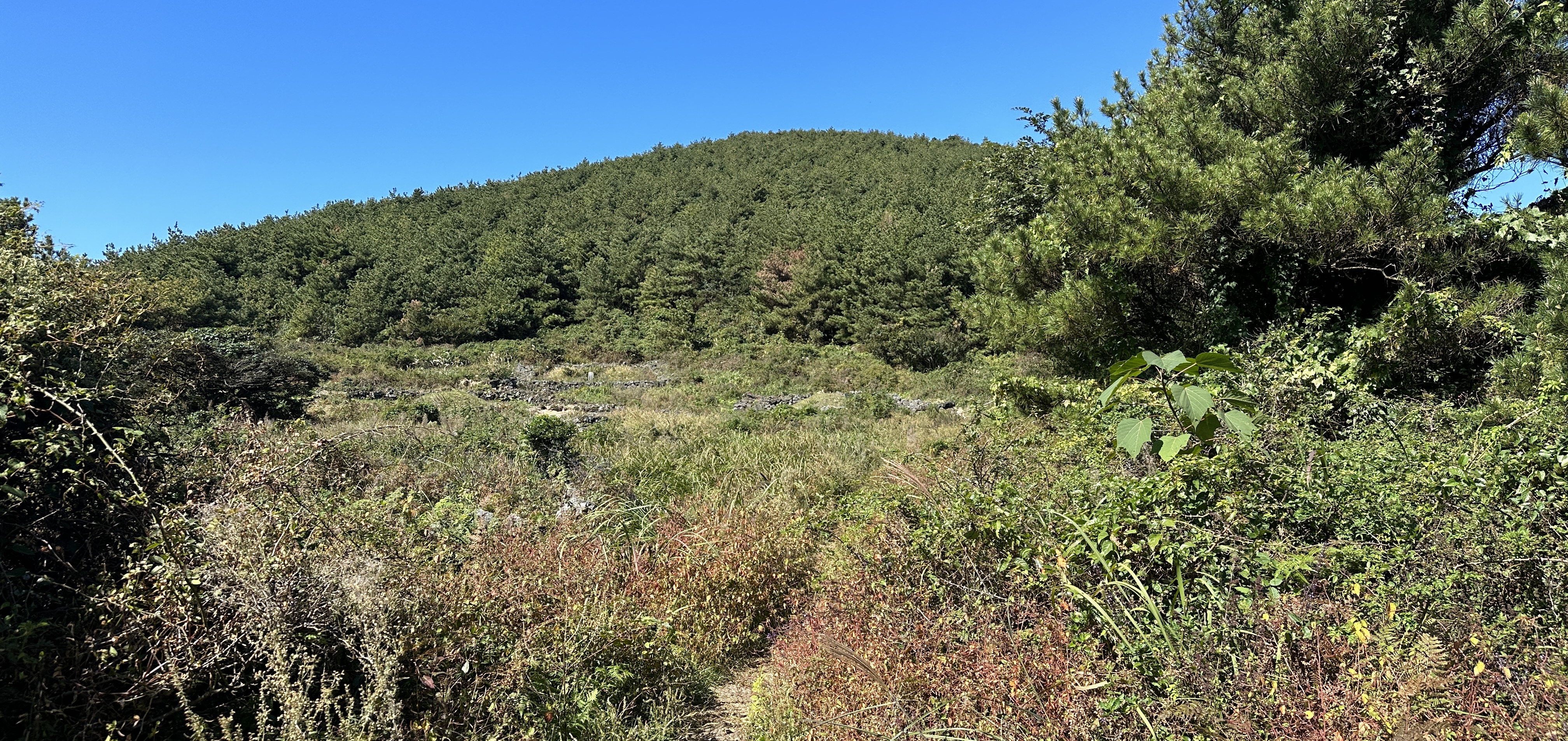 높은오름 탐방로