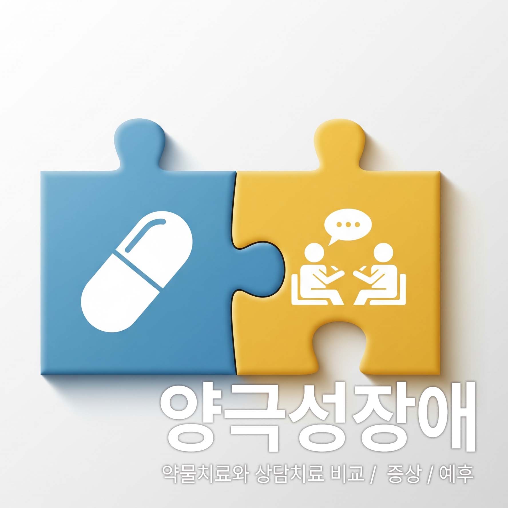 양극성장애치료에 약과 상담이 퍼즐처럼 맞아져야 한다는 내용의 그림
