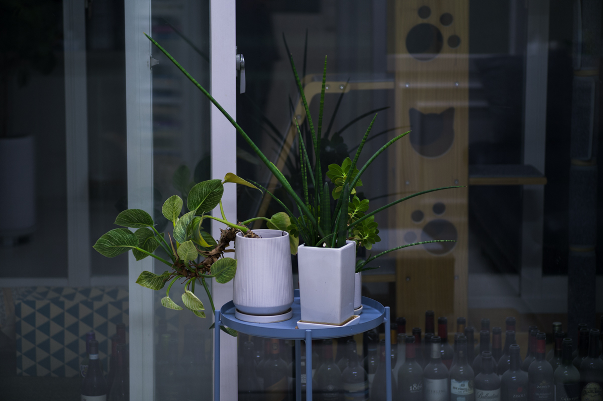 라이카 엘마릿(LEICA ELMARIT) 90mm f/2.8