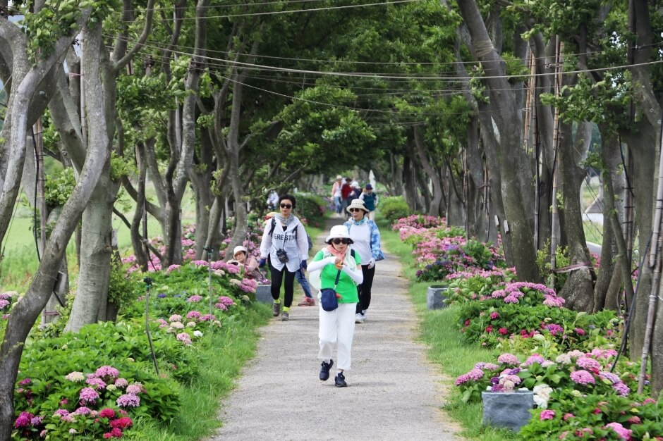 신안 가볼만한곳 베스트 10