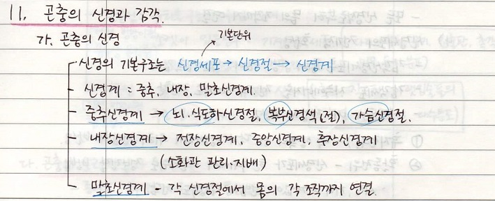 곤충의 신경과 감각