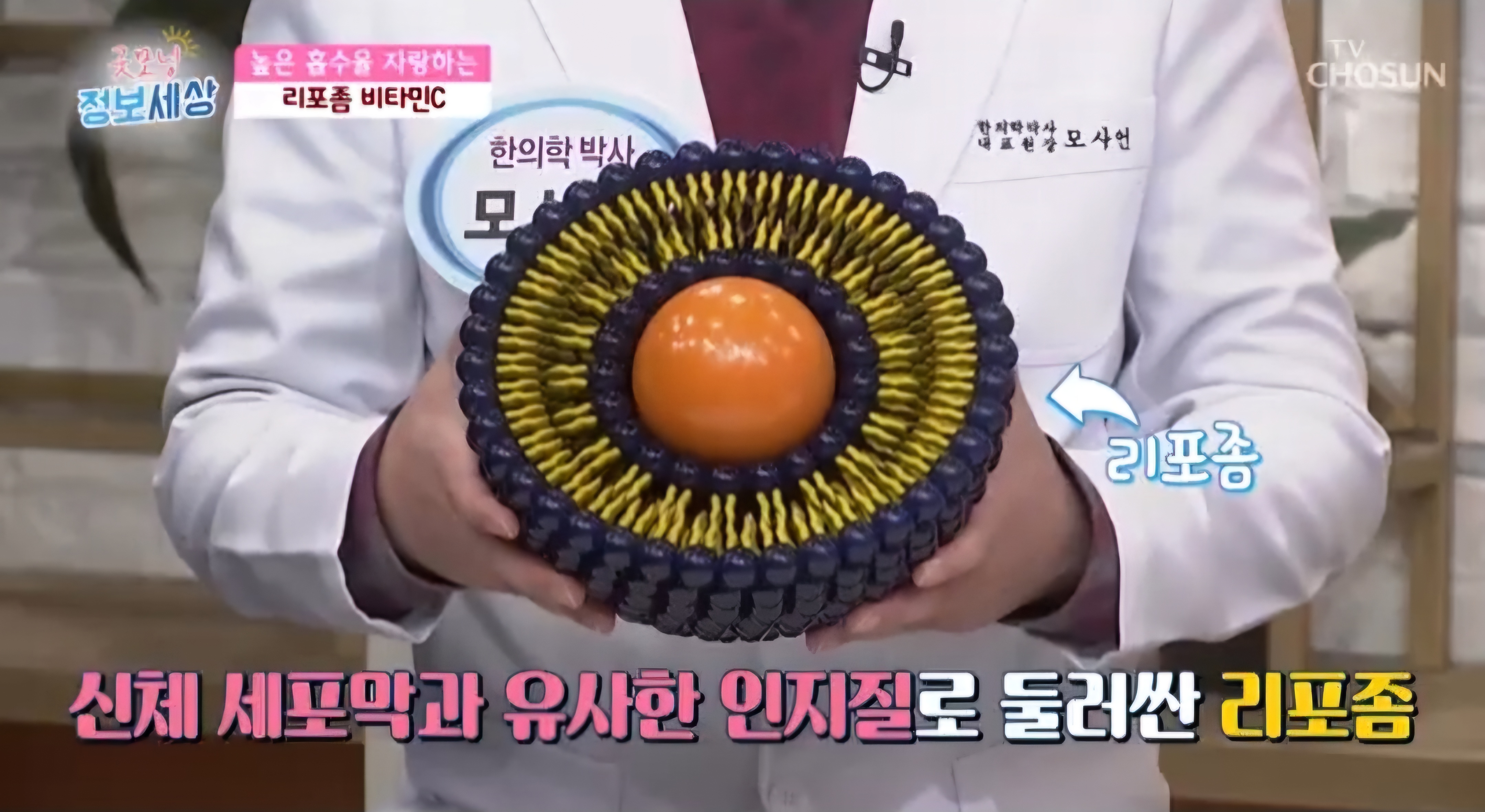 리포좀비타민