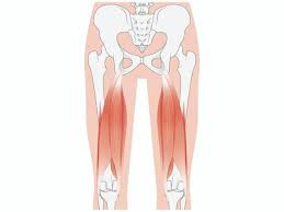 허벅지 통증 원인