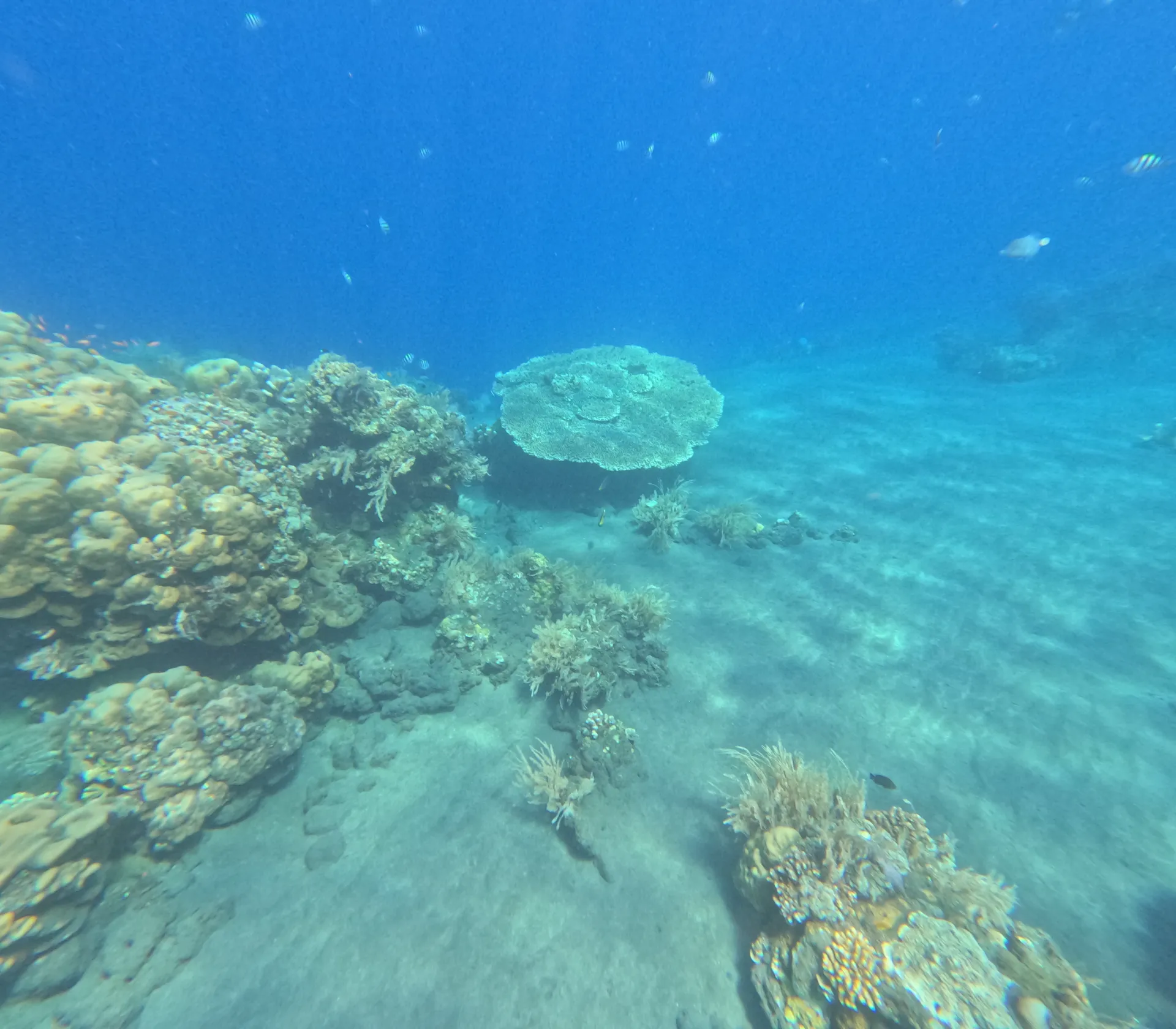 즈믈럭 비치 물속