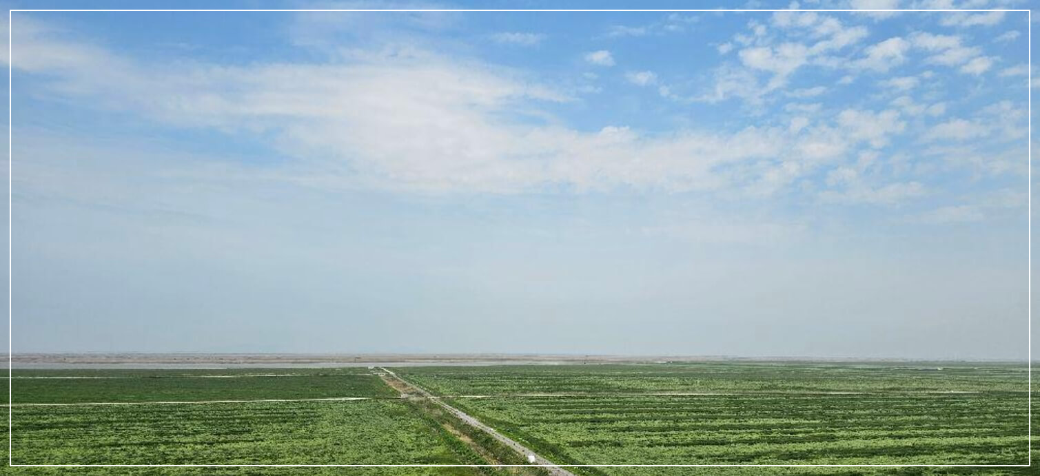 서해안 가볼만한곳 베스트10 새만금 방조제 드라이브 & 신시도 풍력단지