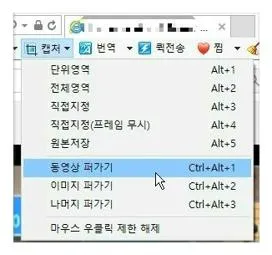 인터넷 동영상 다운로드
