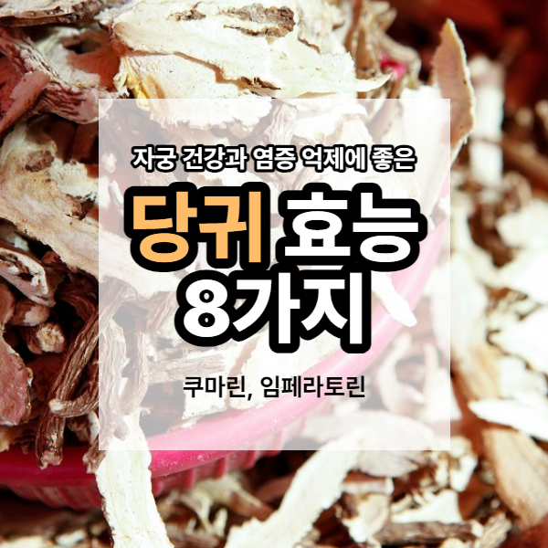 당귀 키우는 법