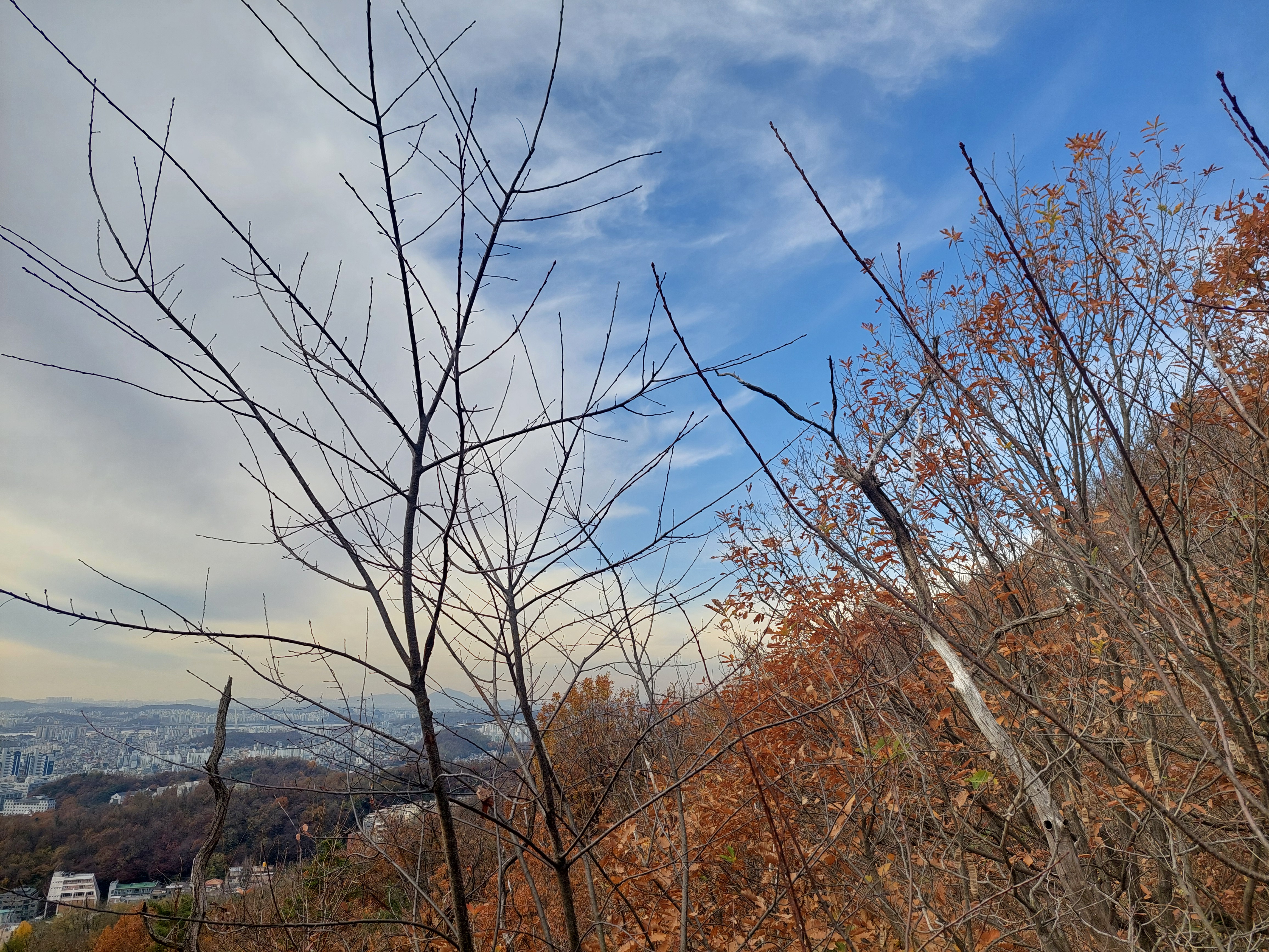 안산