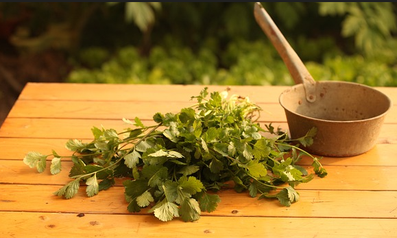 고대 중국의 침술과 뜸 치료법 (경락 이론의 기원과 발전)