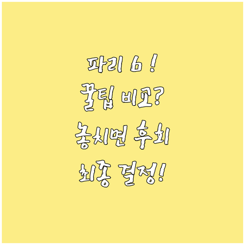 파리 인기 호텔 6곳 체크인 조식 유..