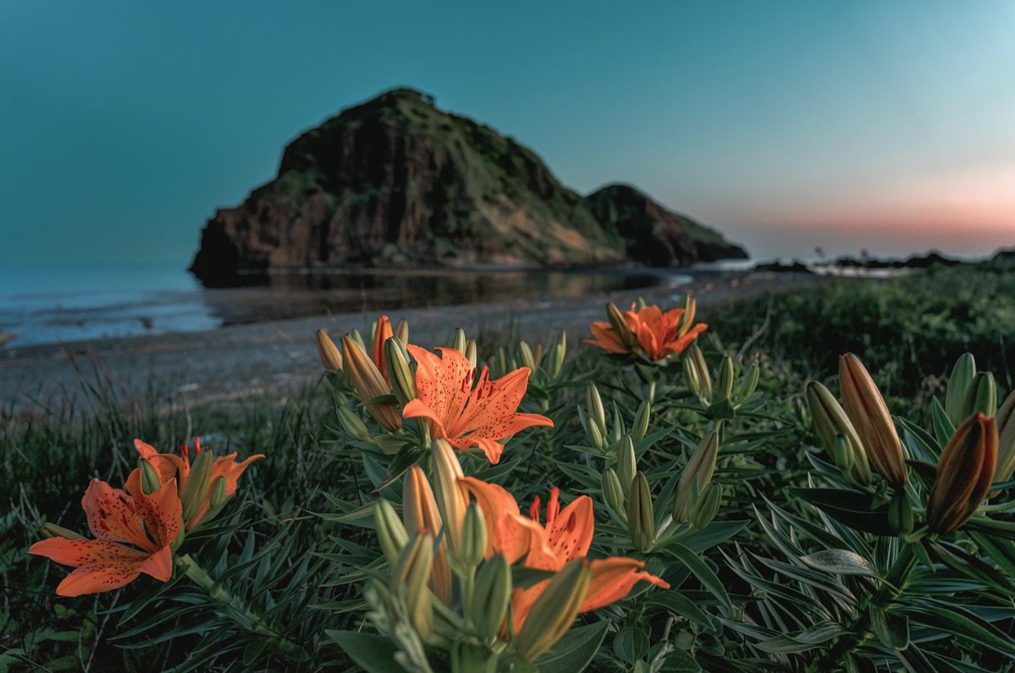 일본 풍경 사진