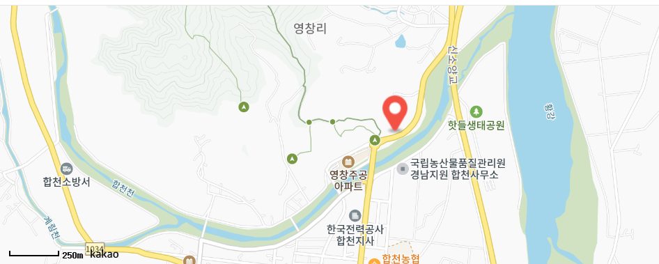 합천 작약 축제 