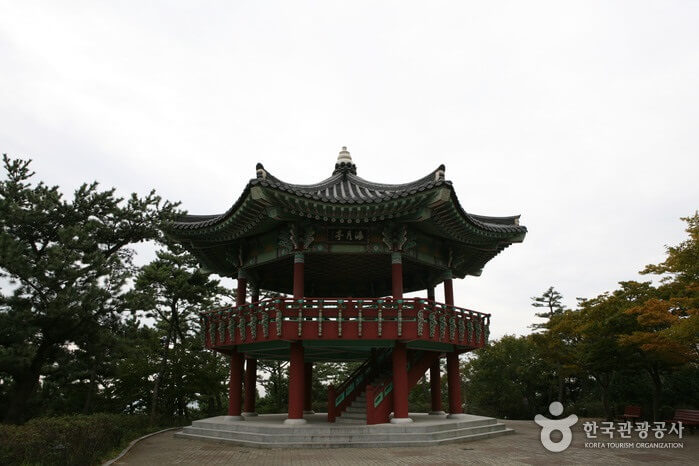 달맞이-고개-이미지