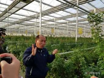 장미 재배 전정 시기 병해 예방 풍성한 개화_2