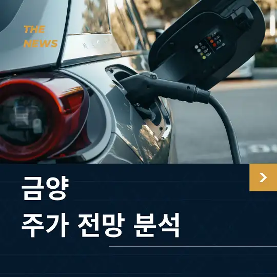 금양 주가 전망 및 분석