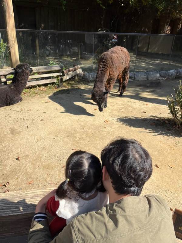 에버랜드 동물원