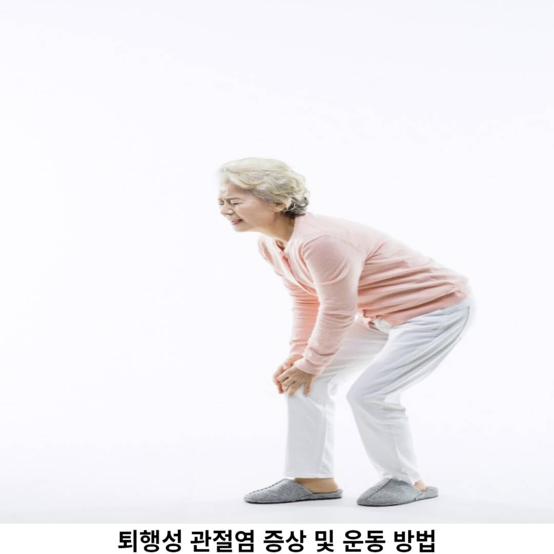 퇴행성 관절염의 정의