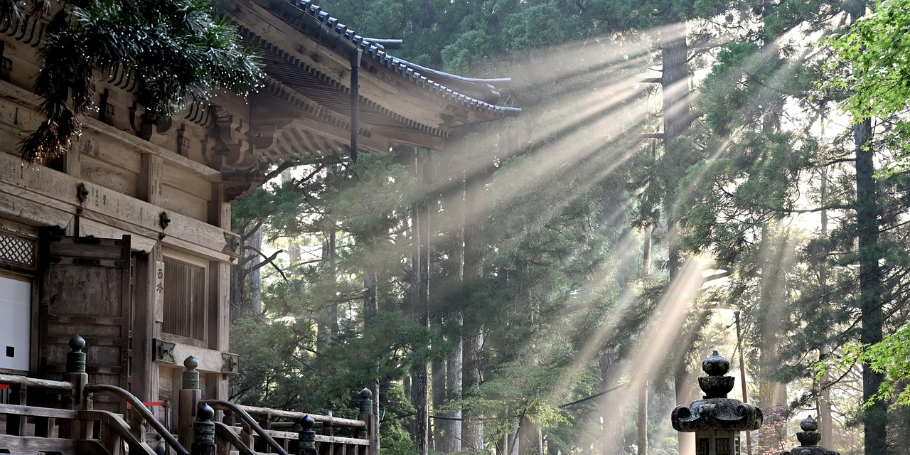 절